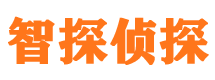 崇明侦探公司